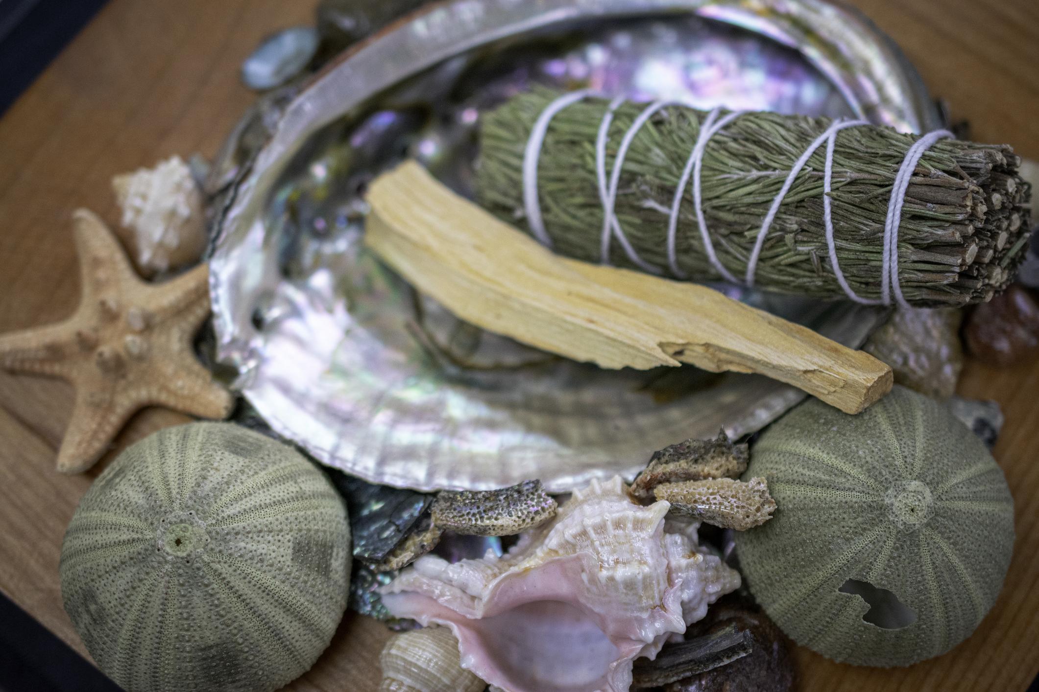 🌊 What Type of Witch is a Sea Witch?